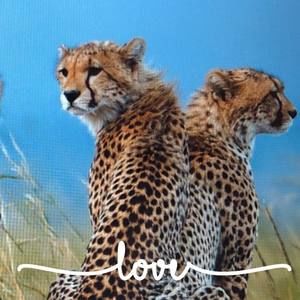 Meet your Posher, Sharon